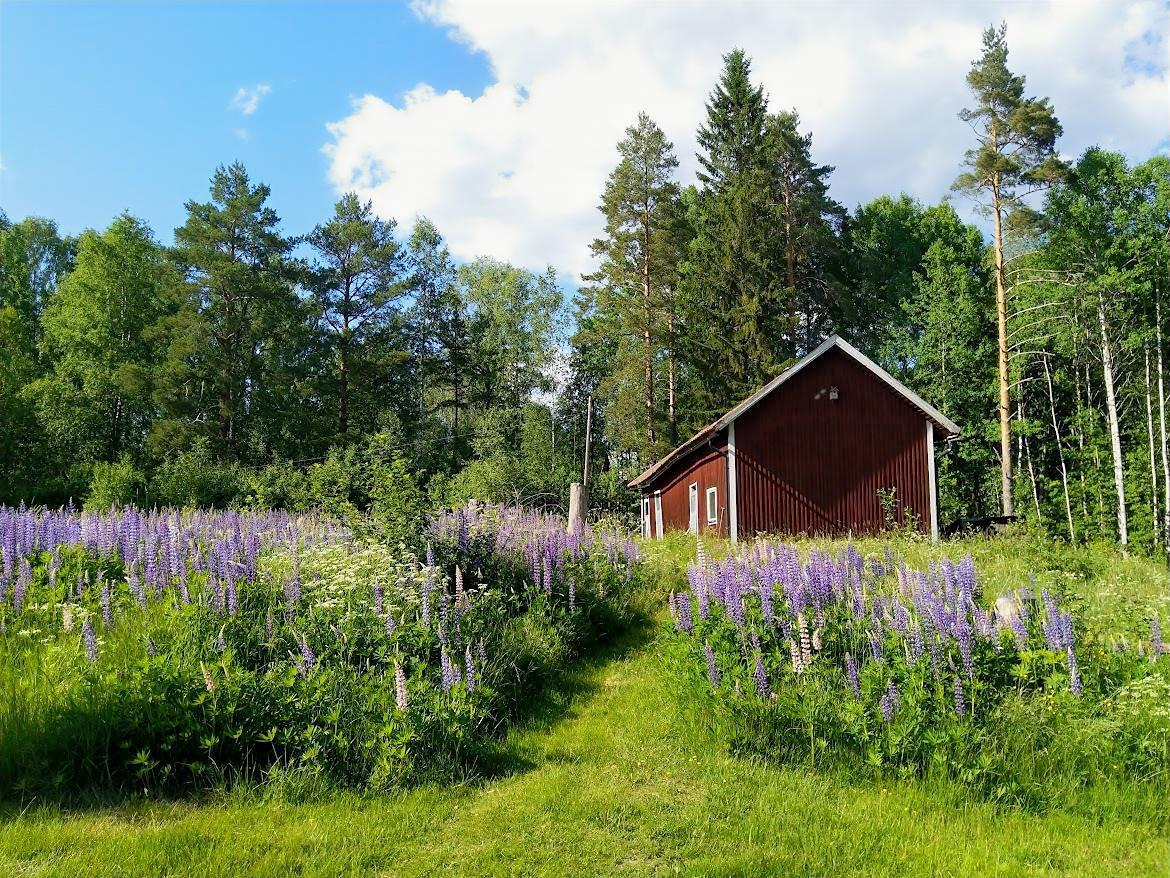 Natur Ferienhaus Hagfors